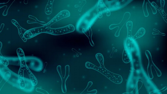 Terapi Probiotik pada Akne Vulgaris