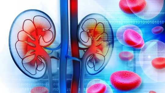 Erythropoiesis-stimulating Agent Terbaru untuk Terapi Anemia pada Penyakit Ginjal Kronis Erythropoiesis-stimulating Agent Terbaru untuk Terapi Anemia pada Penyakit Ginjal Kronis