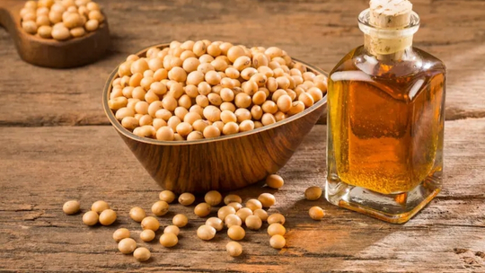 Analisis In Silico Potensi Minyak Kedelai (Glycine max oil) dalam Terapi Dermatitis Atopik