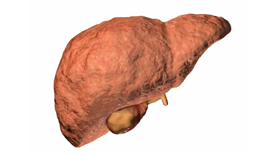 Peran microRNA (miRNA) pada Fibrosis Hati Peran microRNA (miRNA) pada Fibrosis Hati